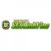 SEO LinkVine Review (Brad Callen)  – Increase Keyword Rankings in No Time
